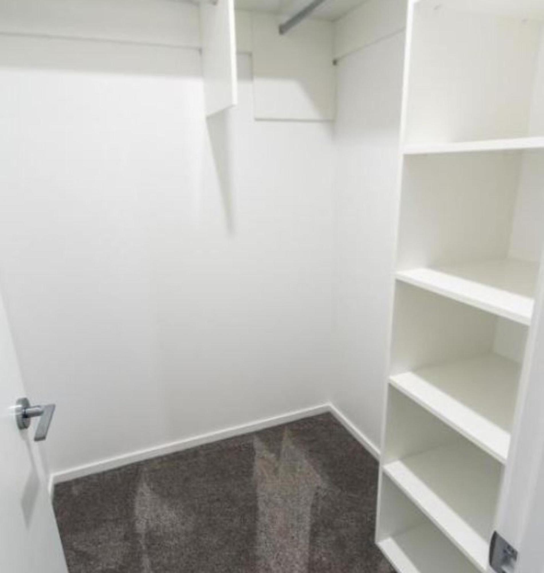 Modern 3 Bed Overlooking Hagley Park Christchurch Buitenkant foto